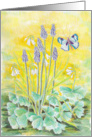 Spring flower with a butterfly in the garden card