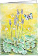 Spring flower with a butterfly in the garden card