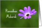 Ramadhan Mubarak card