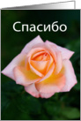 спасибо Thank you in Russian card