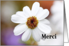 Merci is Thank you in French card