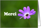 Merci is Thank you in French card