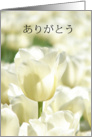 ありがとう is Thank you in Japanese card