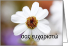 σας ευχαριστώ is Thank you in Greek card