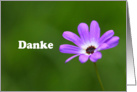 Danke is Thank you in German, Purple Daisy card