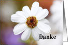 Danke is Thank you in German - white daisies card