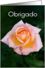 Obrigado means Thank You in Portuguese - Light Peach Rose card