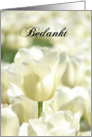 Bedankt means Thank You in Dutch White Tulips card