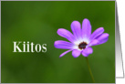 Kiitos means Thank You in Finnish - Purple Daisy card