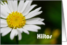 Kiitos means Thank you in Finnish - Close up of white daisy card