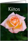 Kiitos means Thank you in Finnish - Close up of peach color rose card