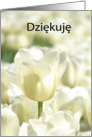 Dziękuję means Thank you in Polish - White Tulips card