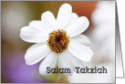 Salam Takziah - white daisy card
