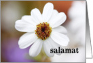 Salamat means Thank you in Filipino - White daisy card