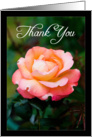 Thank you friend - orange rose card