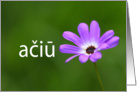 Thank you in Lithuanian ai - purple daisy card