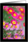 Happy Birthday - Pink daisy card