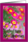 Happy Anniversary - Pink daisy card