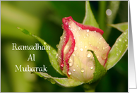 Ramadhan Al Mubarak, rose bud card