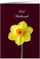 Eid Mubarak card