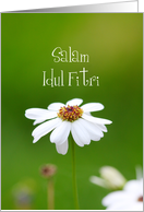 Salam Idul Fitri card