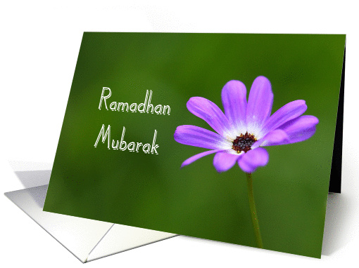 Ramadhan Mubarak card (838812)