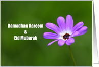Ramadhan & Eid card
