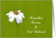 Ramadhan & Eid card