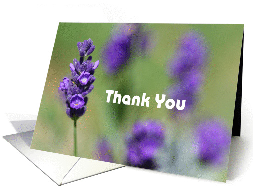 Thank you - lavender flower card (842777)