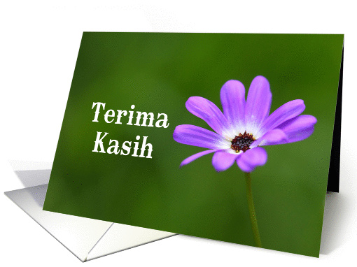 Terima Kasih Thank you in Malay and Indonesian card (843281)