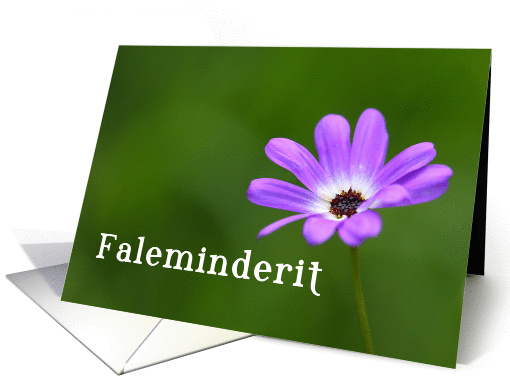 Faleminderit Thank you in Albanian card (843362)