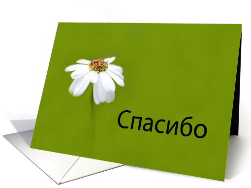 спасибо Thank... (844066)