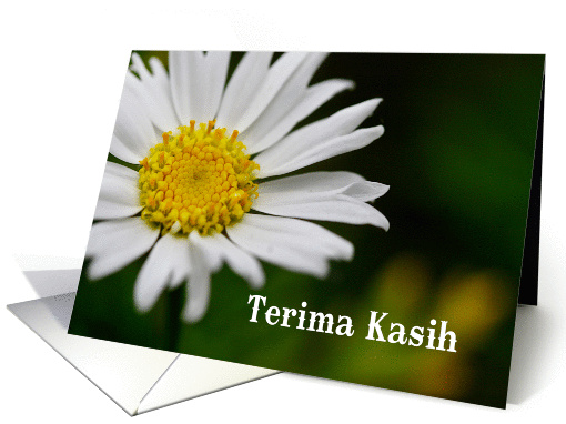 Terima Kasih Thank you in Malay and Indonesian card (844265)