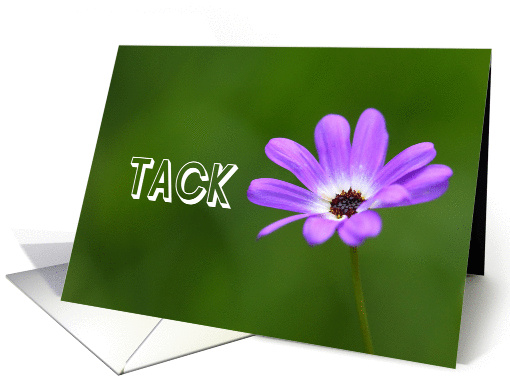 Tack is Thank you in Swedish card (844273)
