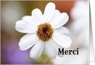 Merci is Thank you in French card