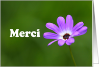 Merci is Thank you in French card