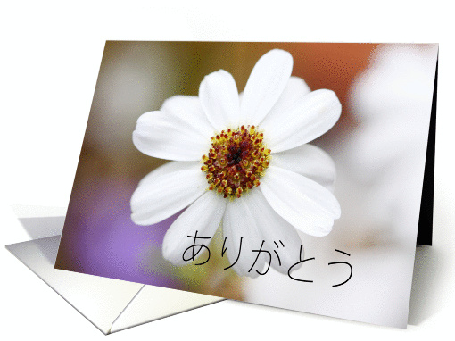 ありがとう is Thank you in Japanese card