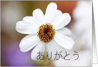 ありがとう is Thank you in Japanese card