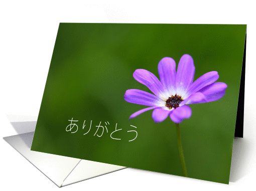 ありがとう is Thank you in Japanese card