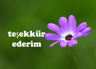 te&#351;ekkürler is Thank you in Turkish