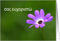 σας ευχαριστώ is Thank you in Greek card