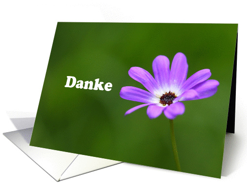 Danke is Thank you in German, Purple Daisy card (844354)