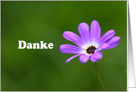 Danke is Thank you in German, Purple Daisy card