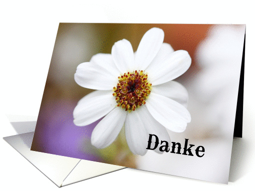 Danke is Thank you in German - white daisies card (844361)