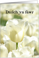 Diolch yn fawr means Thank You in Welsh - White Tulips card