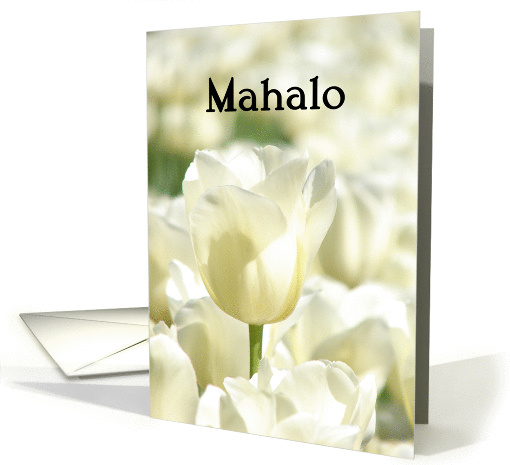 Mahalo means Thank You in Hawaiian - White Tulips card (844990)
