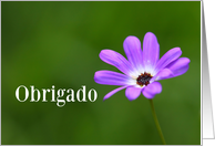Obrigado means Thank You in Portuguese - Purple Daisy card
