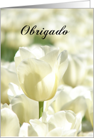 Obrigado means Thank...
