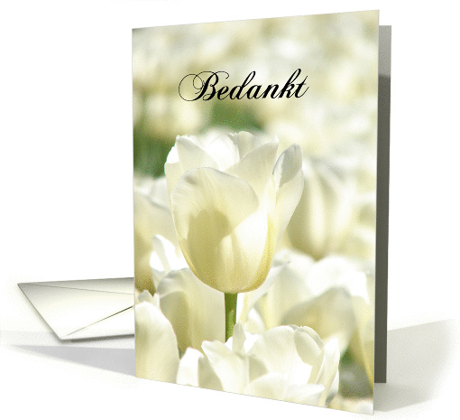 Bedankt means Thank You in Dutch White Tulips card (845056)