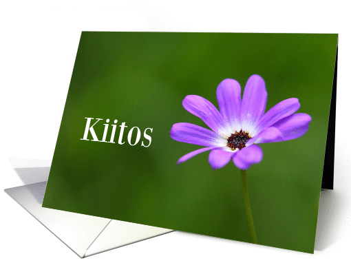Kiitos means Thank You in Finnish - Purple Daisy card (845089)
